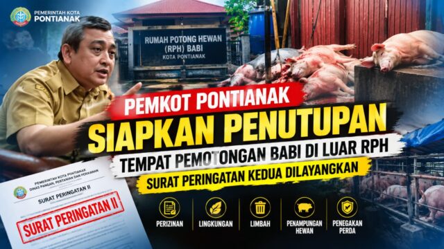Pemkot Pontianak Siapkan Penutupan Lokasi Pemotongan Babi di Luar RPH, Surat Peringatan Kedua Dilayangkan